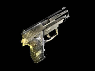 Sig P228